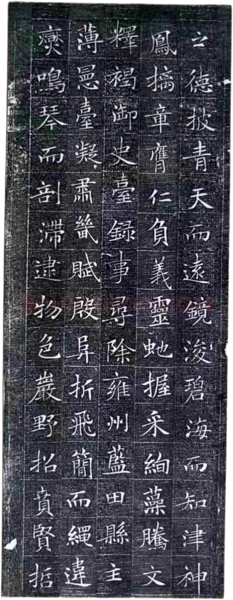唐代楷书《冯师英墓志》欣赏-4