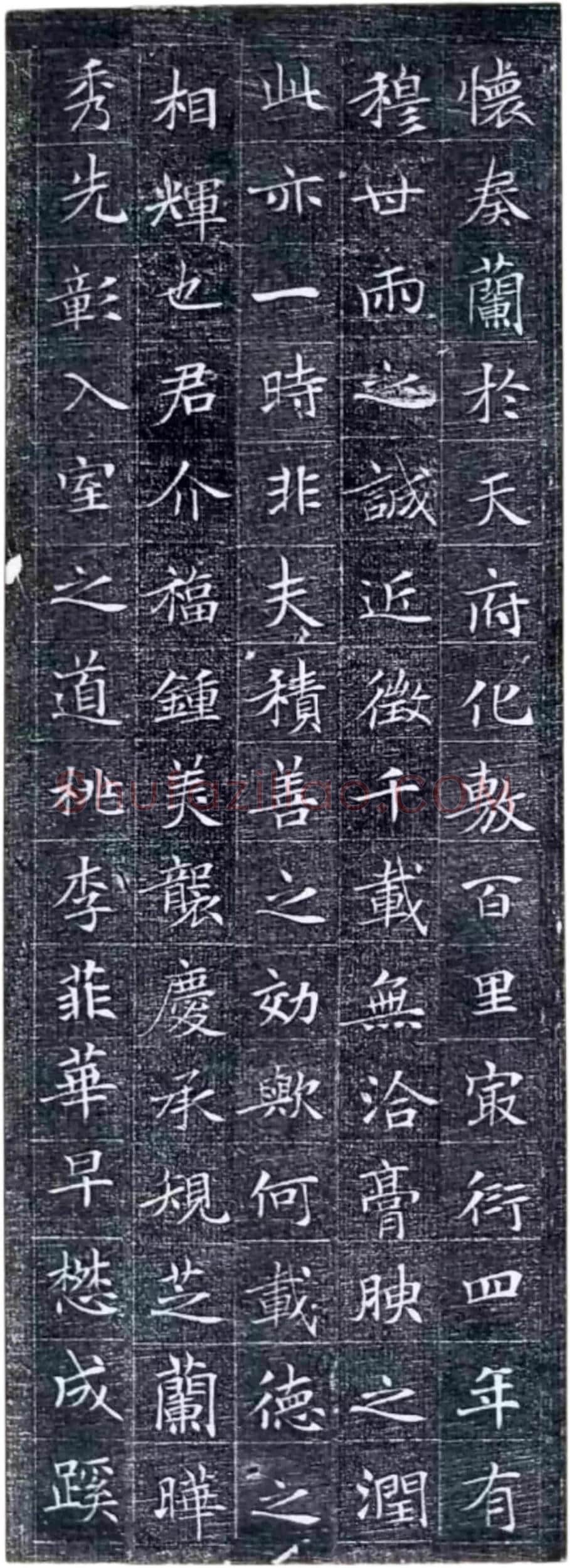 唐代楷书《冯师英墓志》欣赏-3