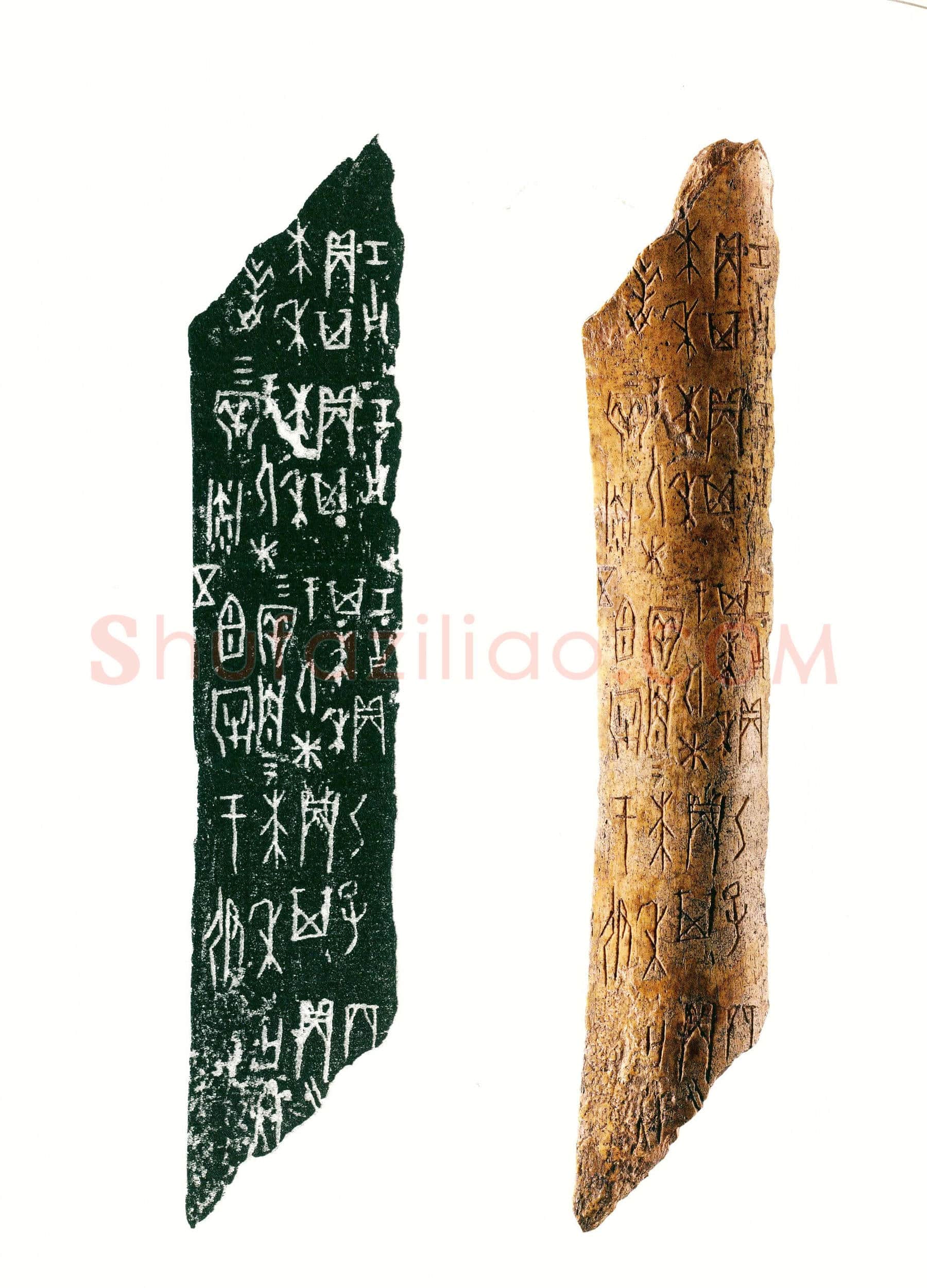 禾卜骨刻辞_1