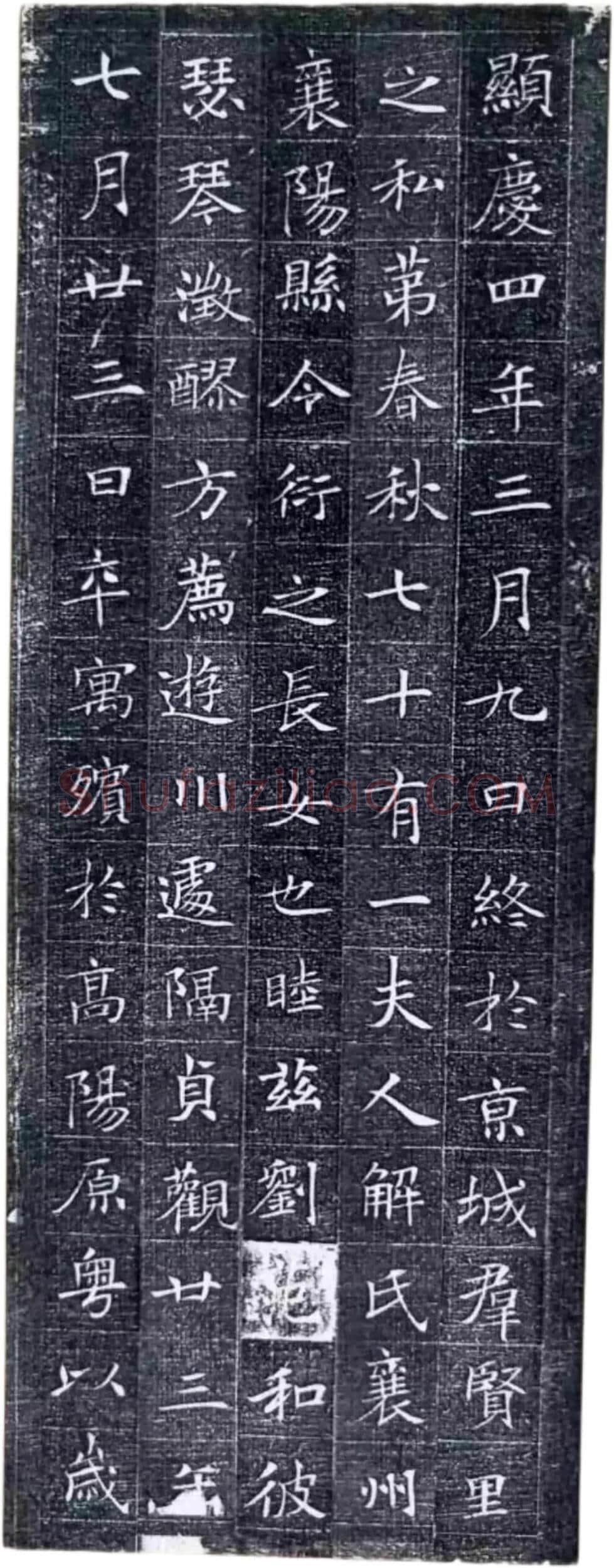 唐代楷书《冯师英墓志》欣赏-8