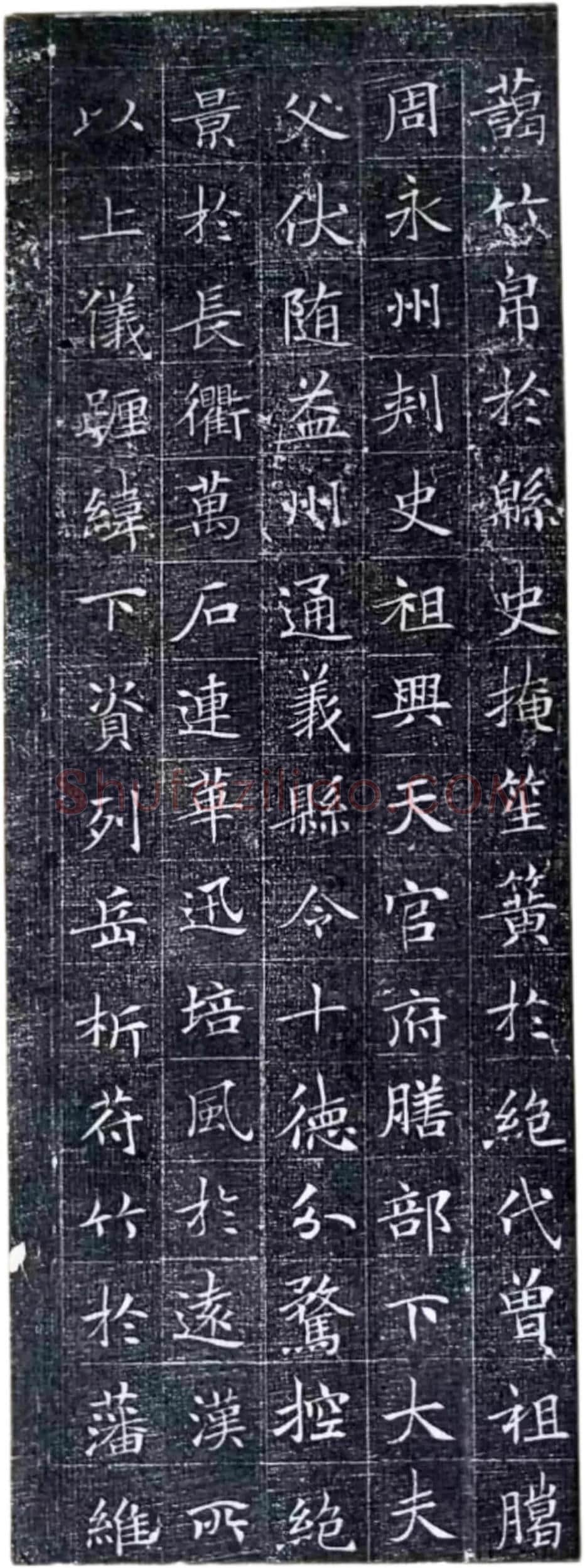 唐代楷书《冯师英墓志》欣赏-2