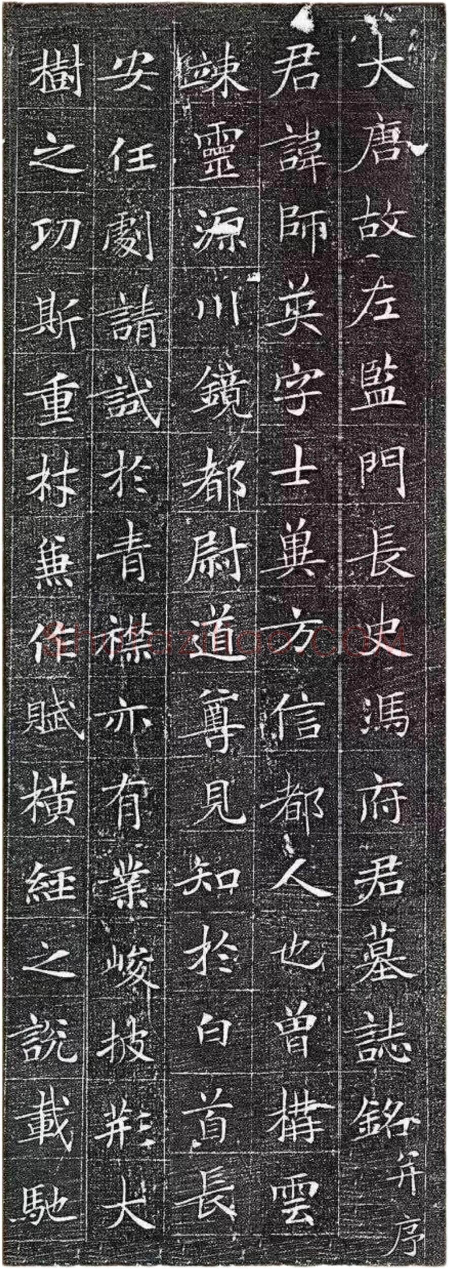 唐代楷书《冯师英墓志》欣赏-1