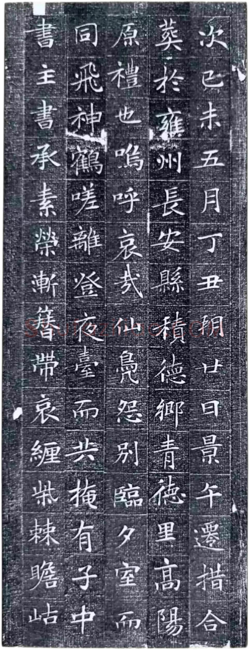 唐代楷书《冯师英墓志》欣赏-9