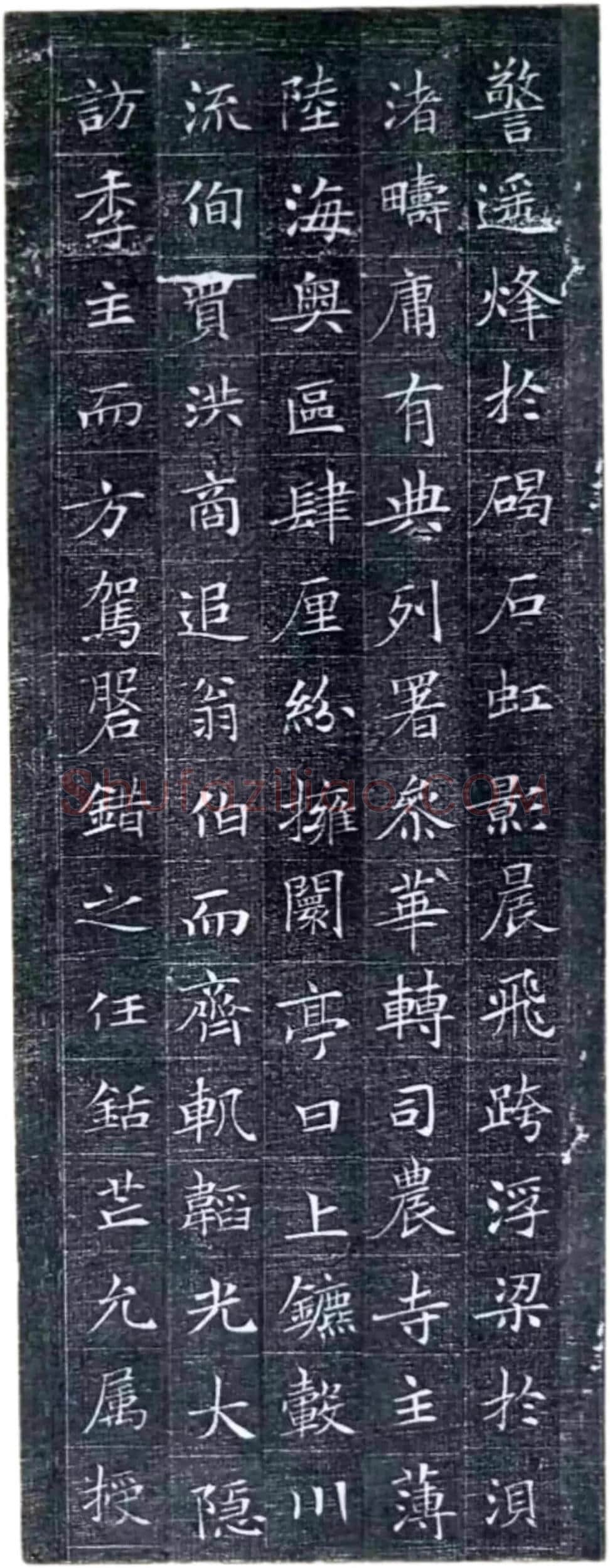 唐代楷书《冯师英墓志》欣赏-6