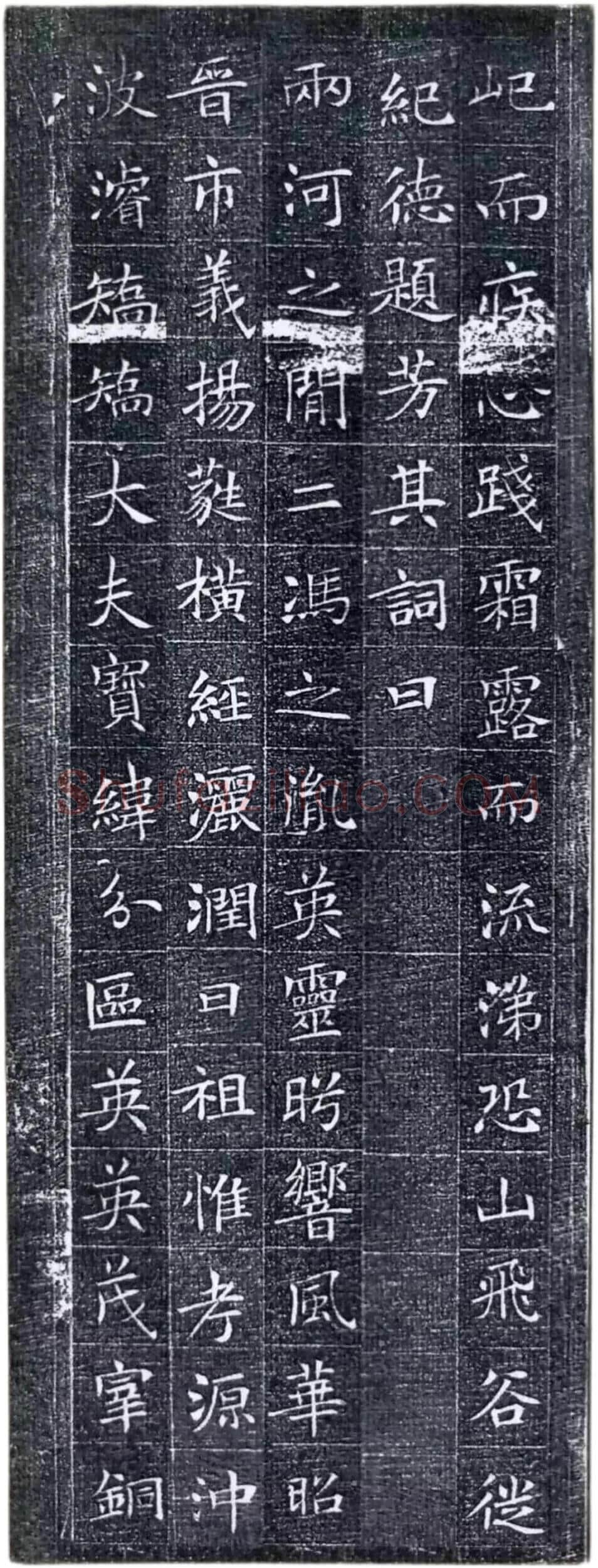 唐代楷书《冯师英墓志》欣赏-10