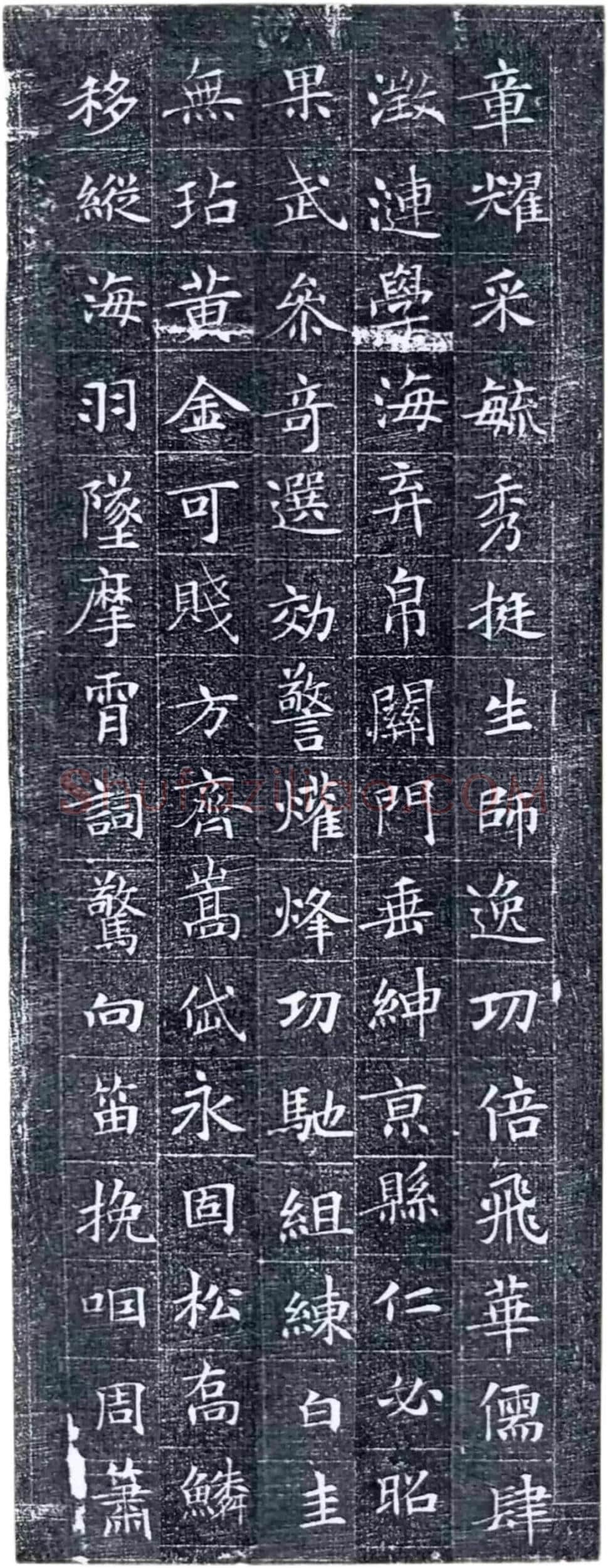 唐代楷书《冯师英墓志》欣赏-11