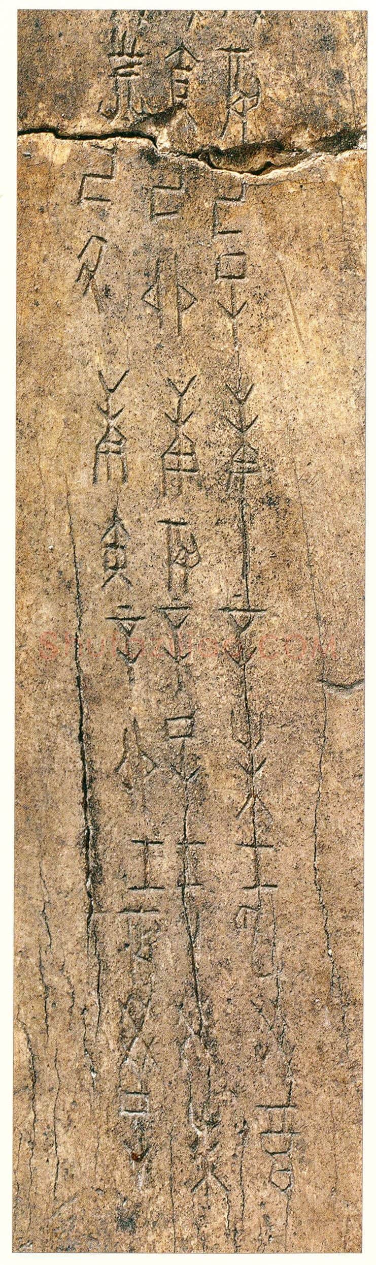 商 《干支表卜骨刻辞》2