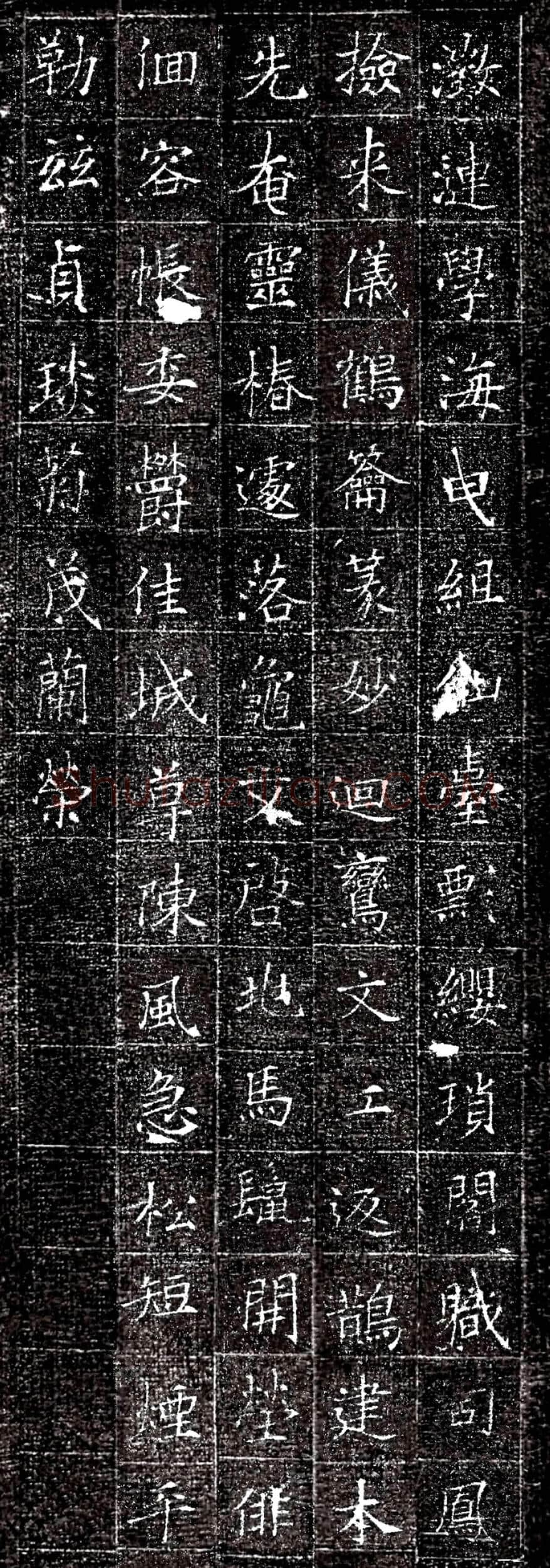 唐代书法《冯承素墓志》欣赏-9