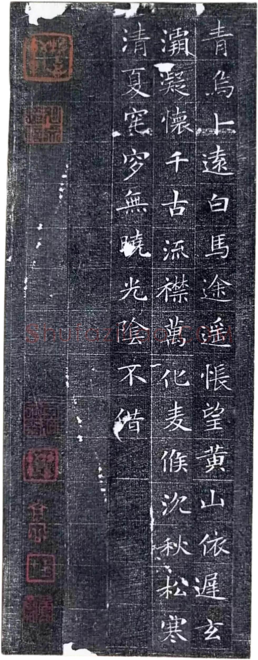 唐代楷书《冯师英墓志》欣赏-12