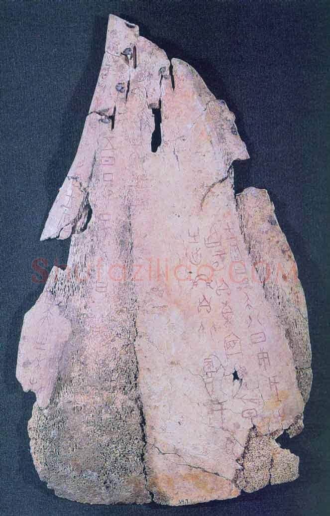 牛骨刻辞-反面