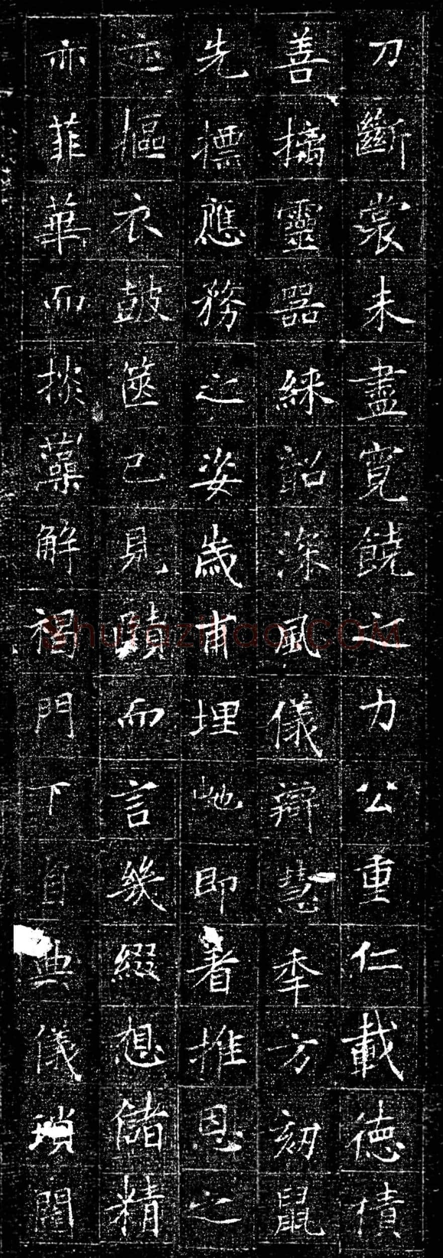 唐代书法《冯承素墓志》欣赏-3
