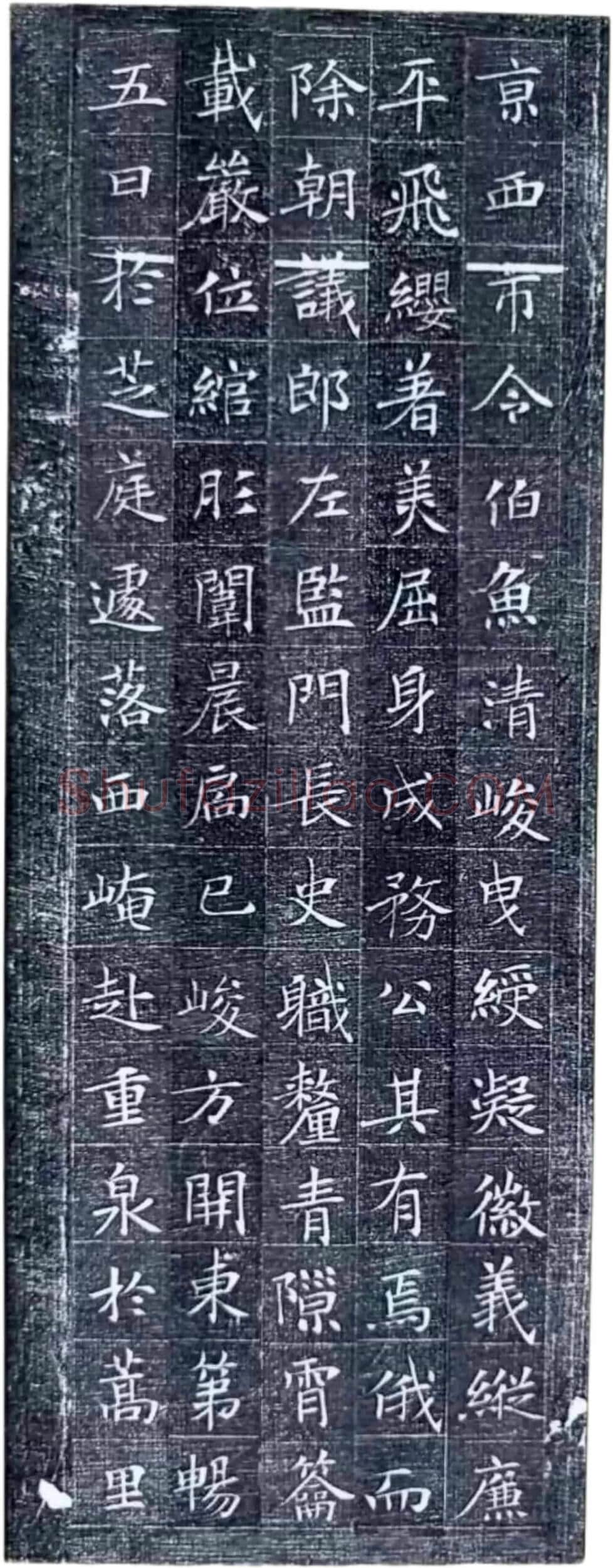 唐代楷书《冯师英墓志》欣赏-7