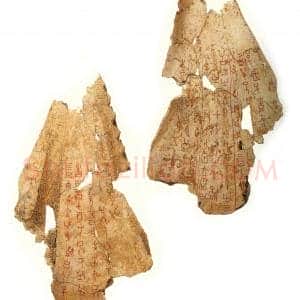商代 甲骨文《大骤风涂朱卜骨》介绍图片鉴赏